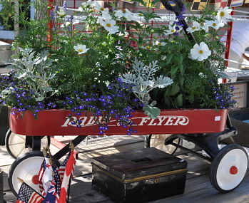 Greenhouse Design Radio Flyer with Annuals