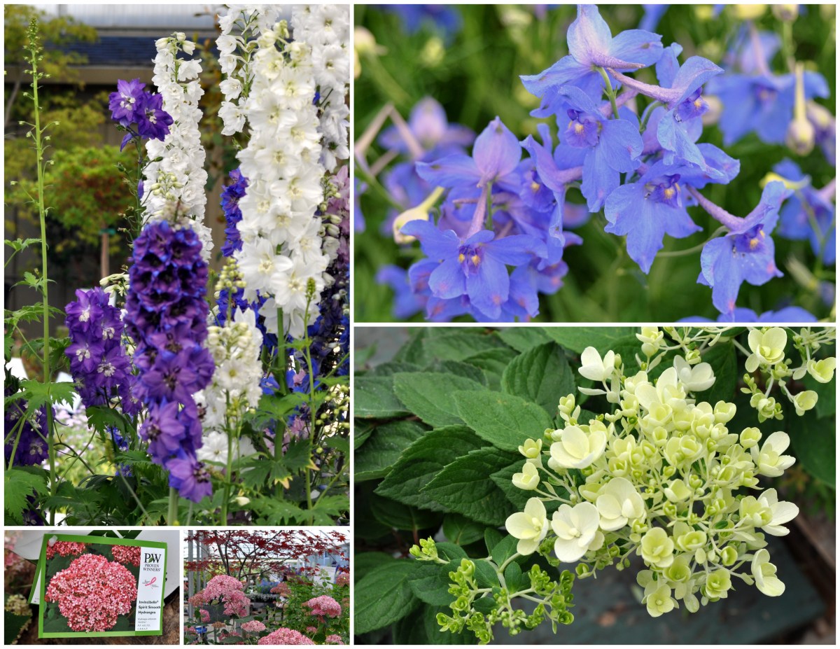 Yamagami's Nursery Collage