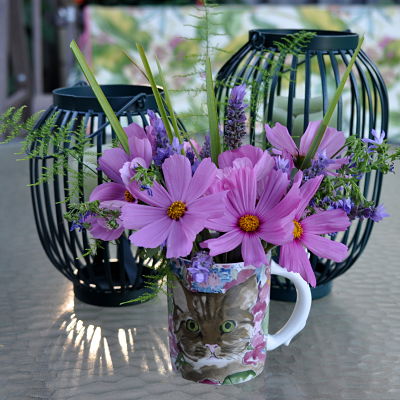 cosmos by day