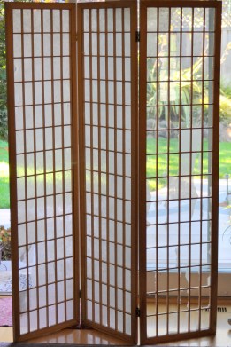 Damaged Shoji Screen