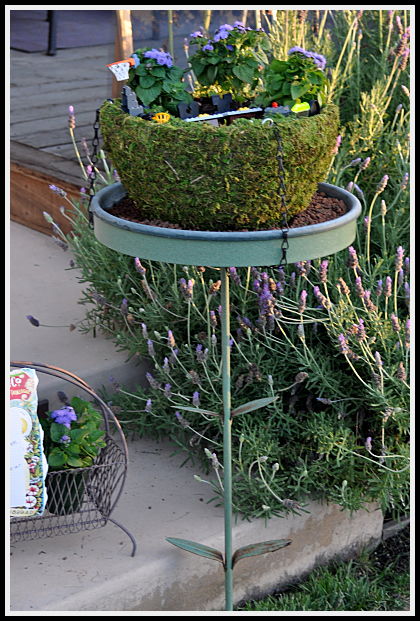 Fairy Garden