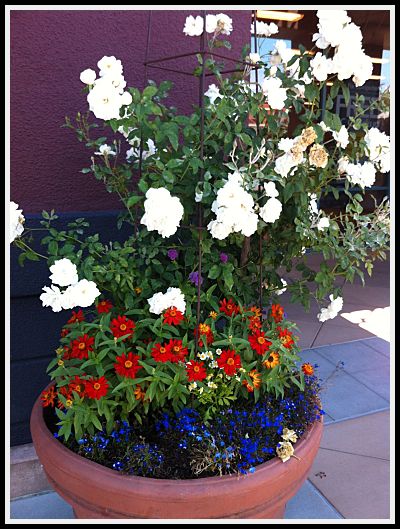 Office Max Flowering Pots