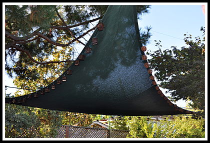 Shade Sail Closeup
