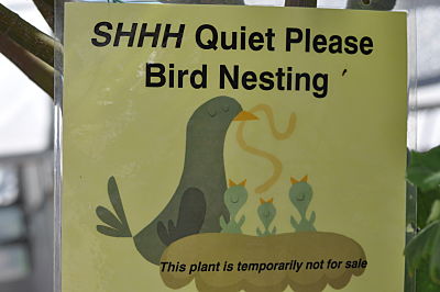 Yamagami's bird nesting sign