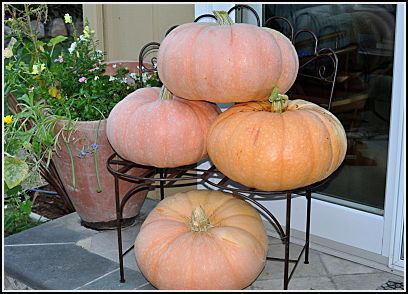 4 great pumpkins