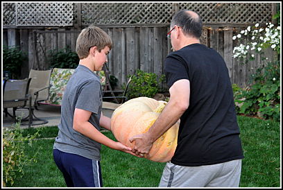 Carrying the pumpkin