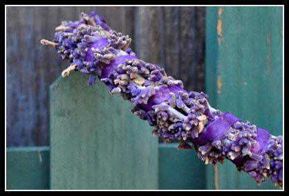 Sage and Ribbon Closeup