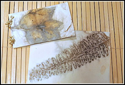 Eco-dyed paper