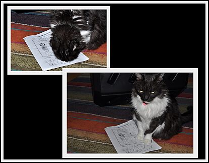 Lindy sits on the directions