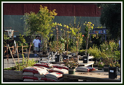 SummerWinds Nursery Fire Sale