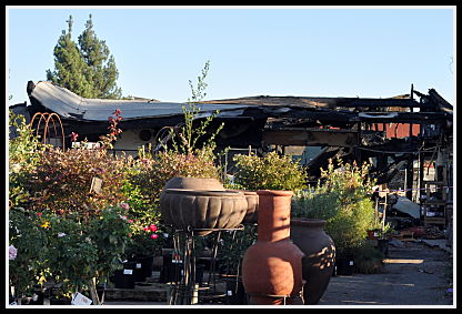 SummerWinds Plants and Pottery
