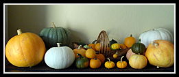 assorted pumpkins