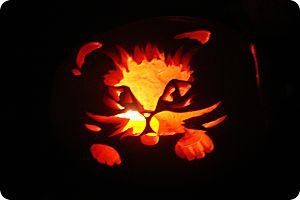 carved cat pumpkin