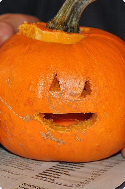 carved mini pumpkin no lights