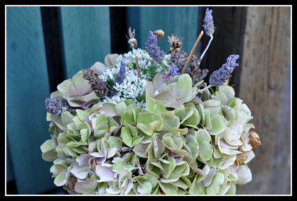 Corpse Bride Flowers