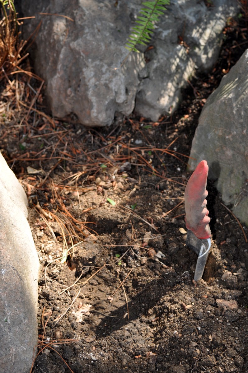 Garden Trowel