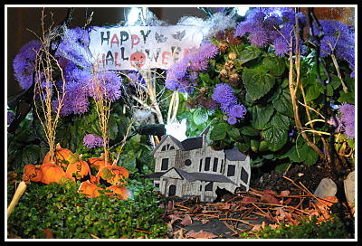 fairy garden with lights