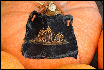 Felted pumpkins