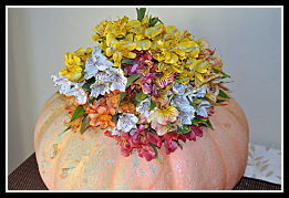 flowering pumpkin