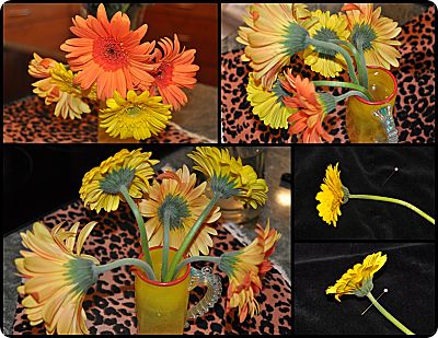 Gerber Daisies hat pin trick