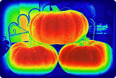 heat map pumpkin