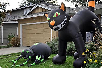 inflatable cat and spider