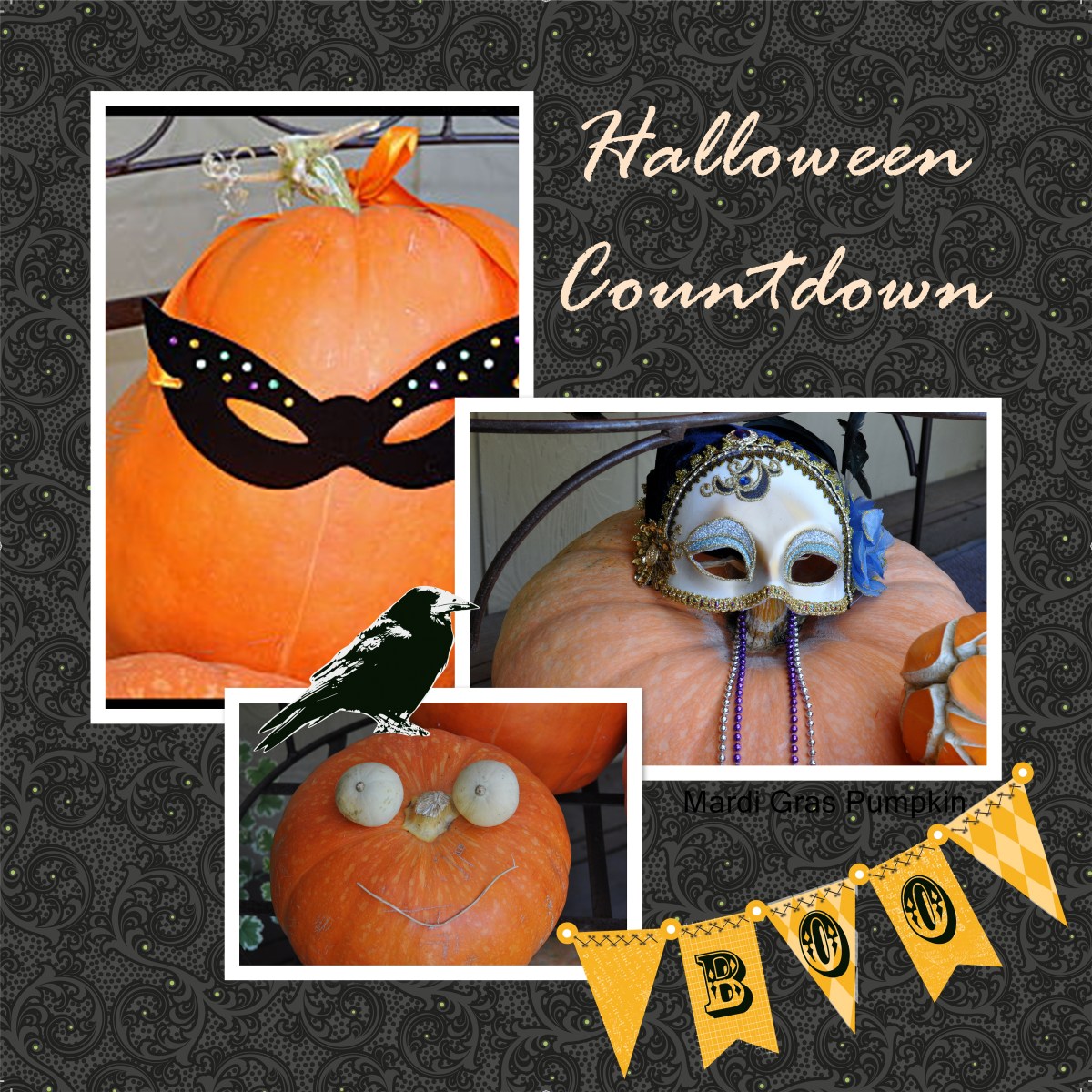 Pumpkin collection
