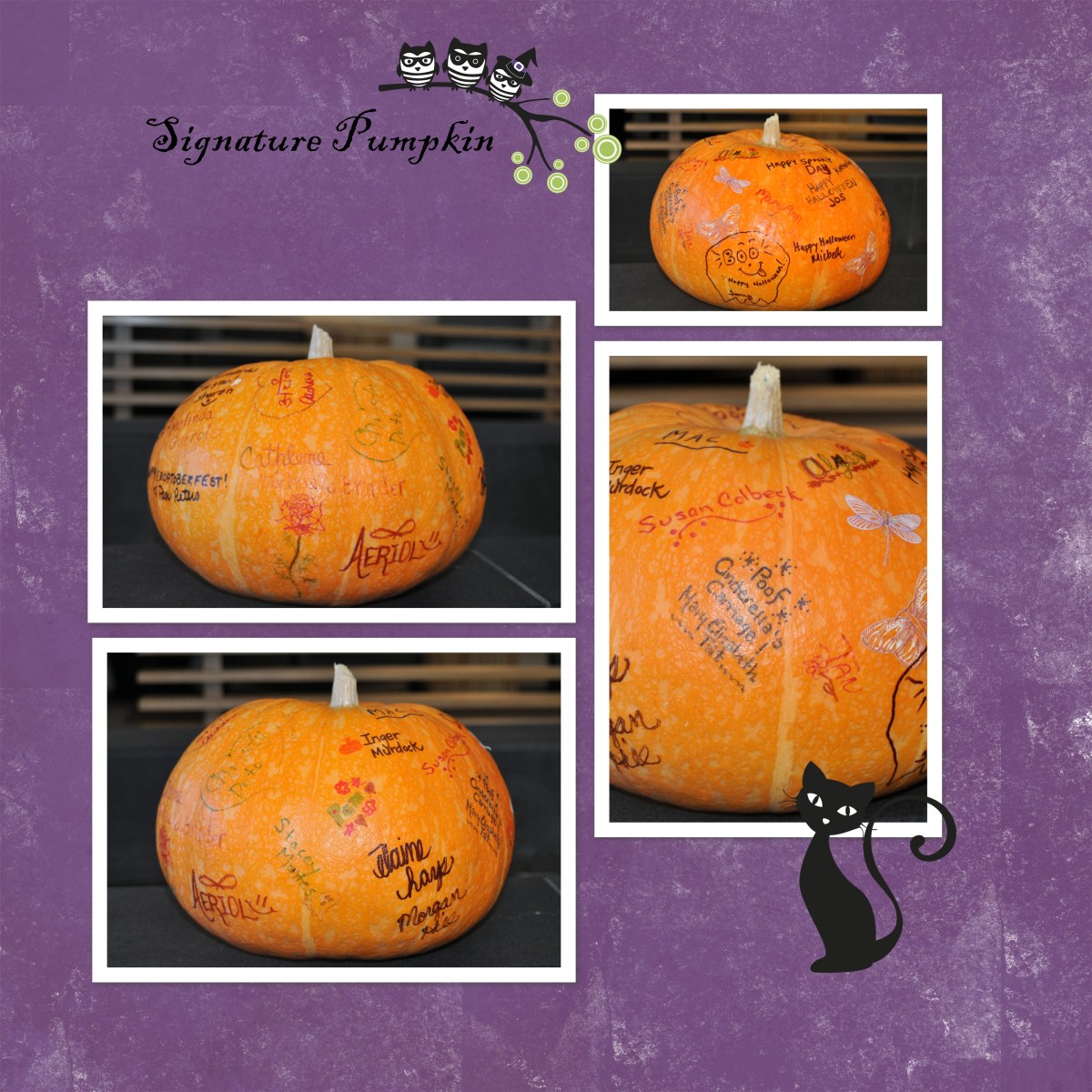 Pumpkin collection signature