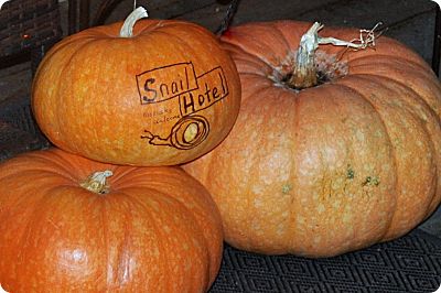 pumpkin snail hotel