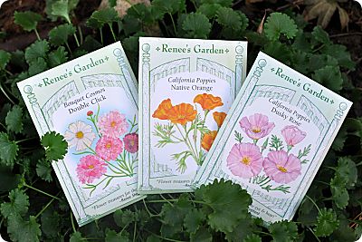 Renee's garden flower seeds