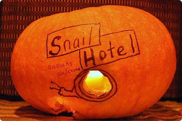 snail hotel carved