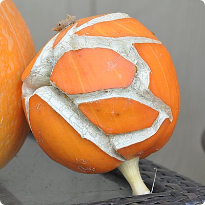 The letter B pumpkin