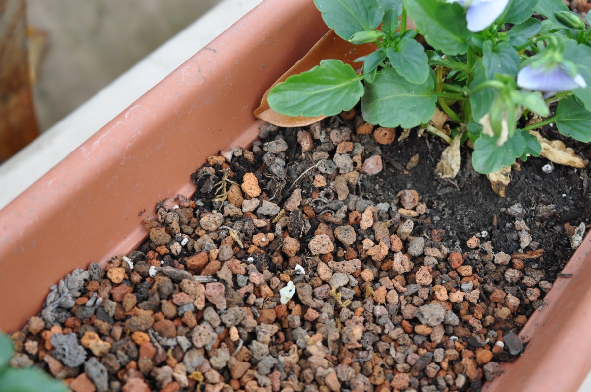 pea gravel