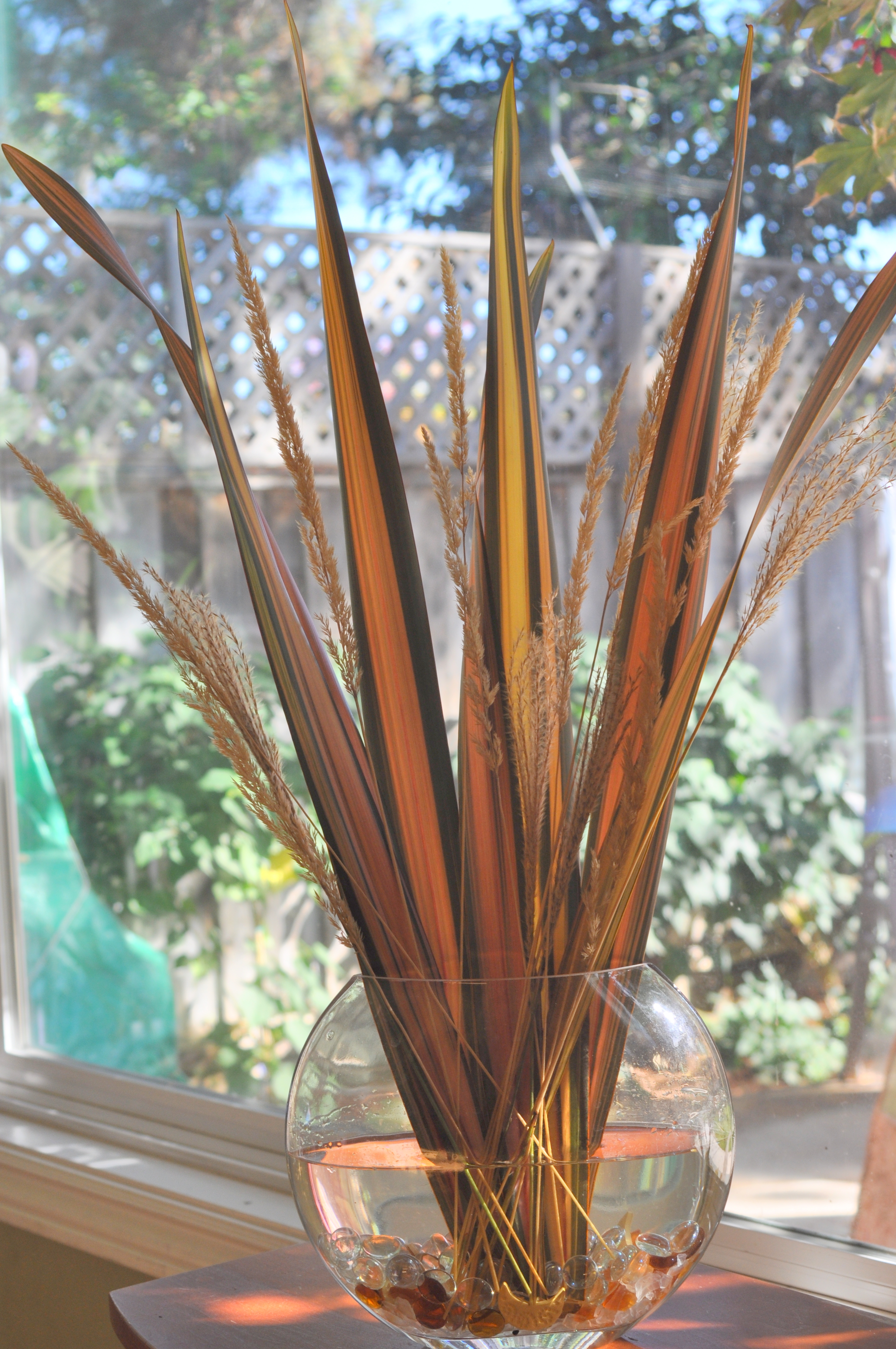New Zealand Flax with Grasses