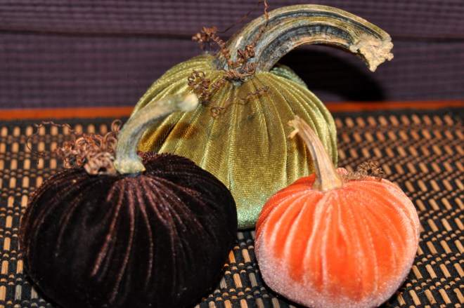 Velvet Pumpkins, Natural Stems