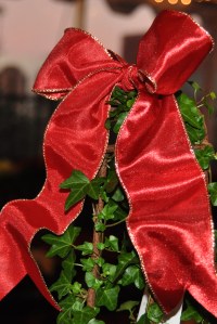 Red Bow on a Tree Red Bow on a Tree