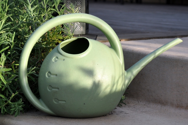Light Green Watering Can