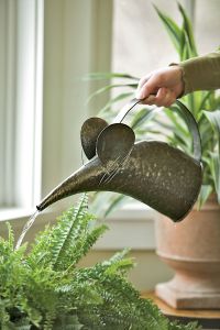 mouse watering can