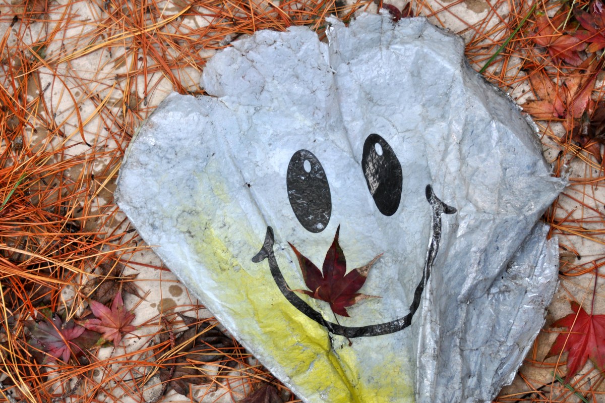 Mystery Balloon Comes Down in the Storm