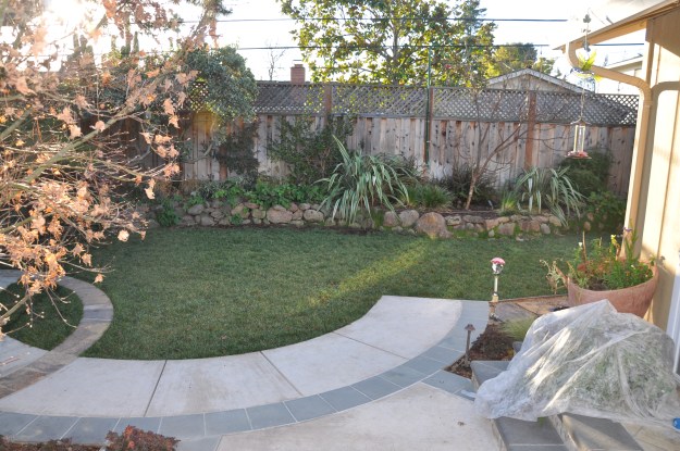 View from my back door