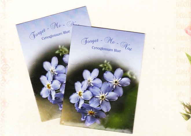 Forget-me-not seeds