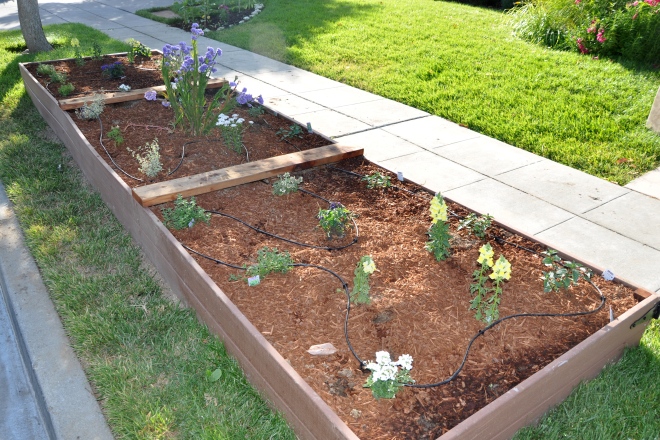 planting bed