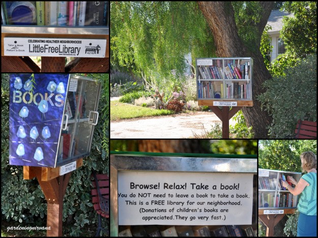 little free library collage