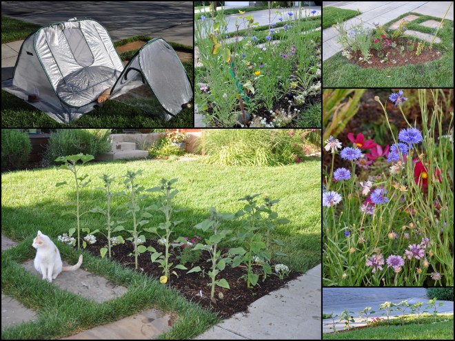garden triangle collage