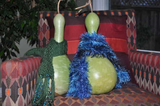 birdhouse gourds with scarves