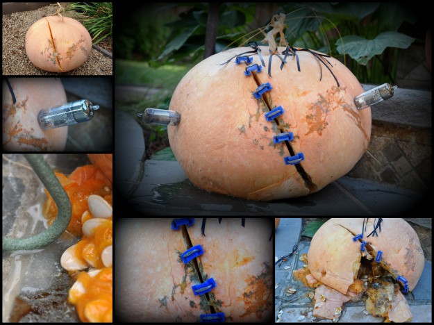 pumpkin collage