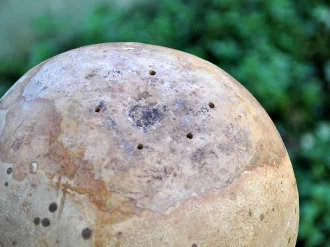holes drilled in bottom of gourd