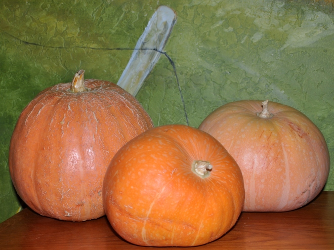 polished pumpkins