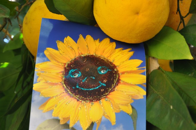 oranges and postcards oranges and postcards