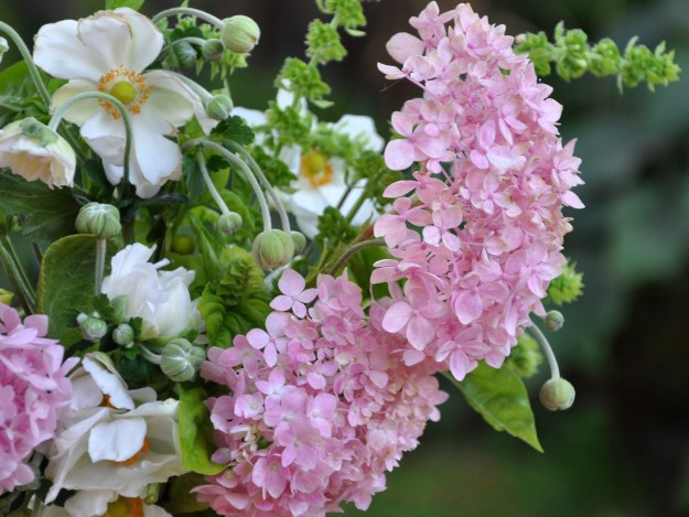 pink hydrangeas and anemones